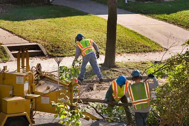 Best Tree Care Services  in Fuquay Varina, NC